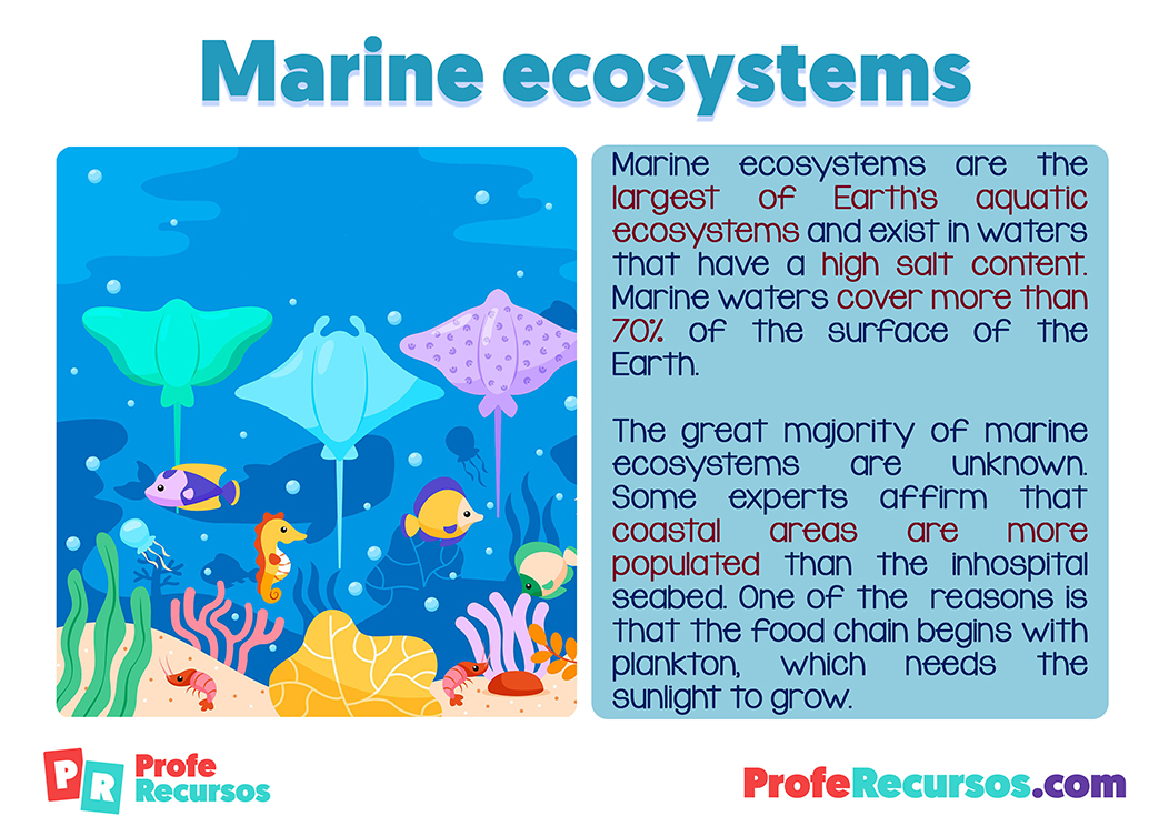 Ecosistemas marinos en ingles