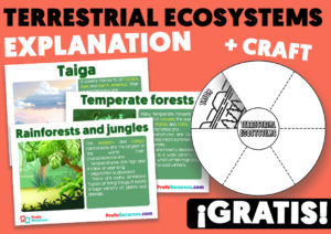 Ecosistemas terrestres en ingles