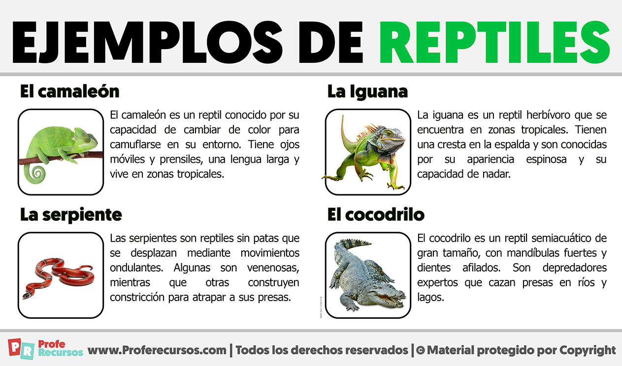 Ejemplos de reptiles