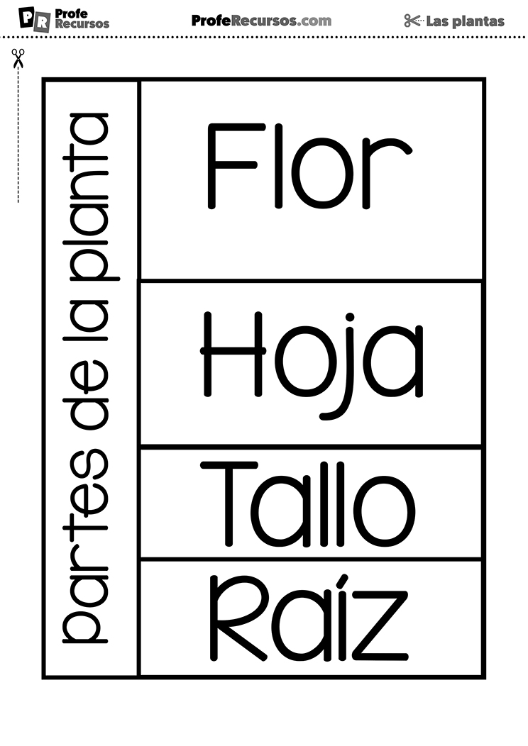 Ejercicio partes de la planta