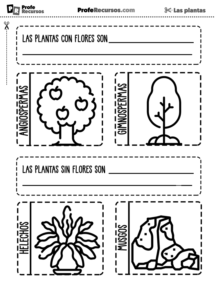 Ejercicio de las plantas