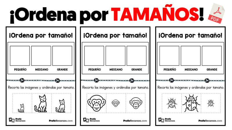 Ordena Ordena por Tamaño | Actividades y Fichas