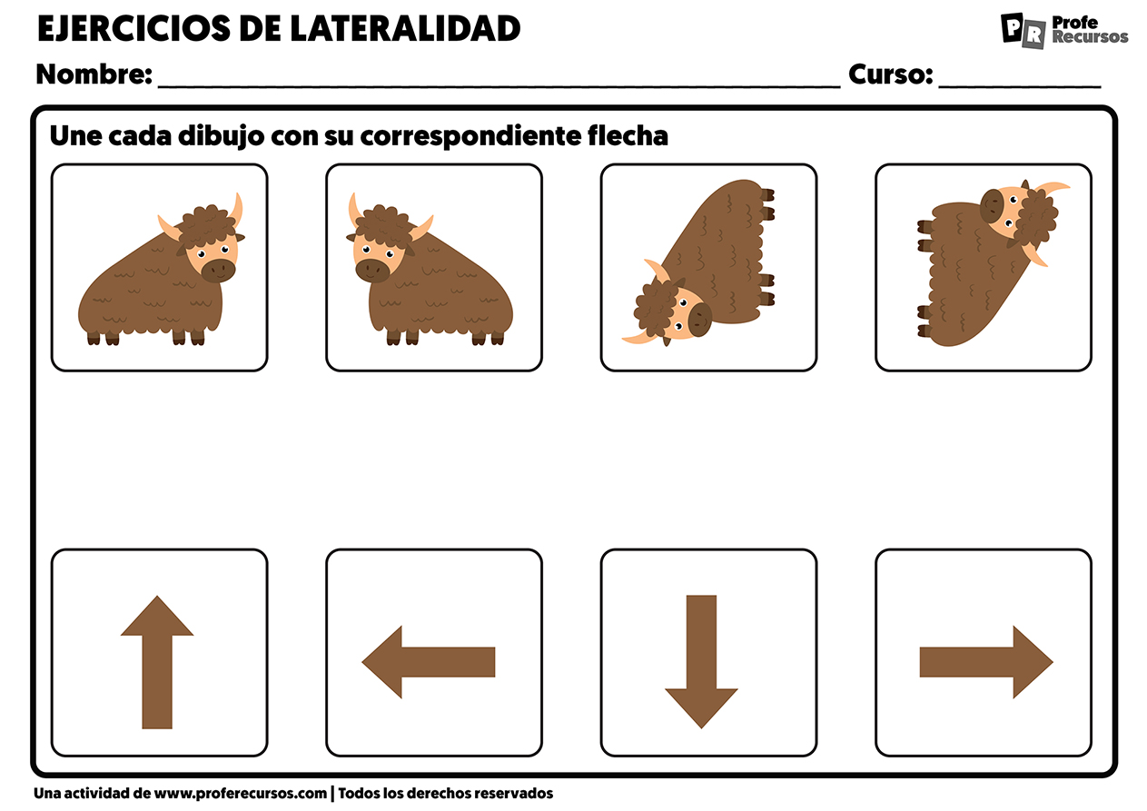 Ejercicios de coordinacion espacial