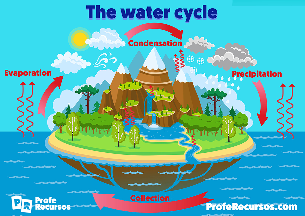 El ciclo del agua en ingles