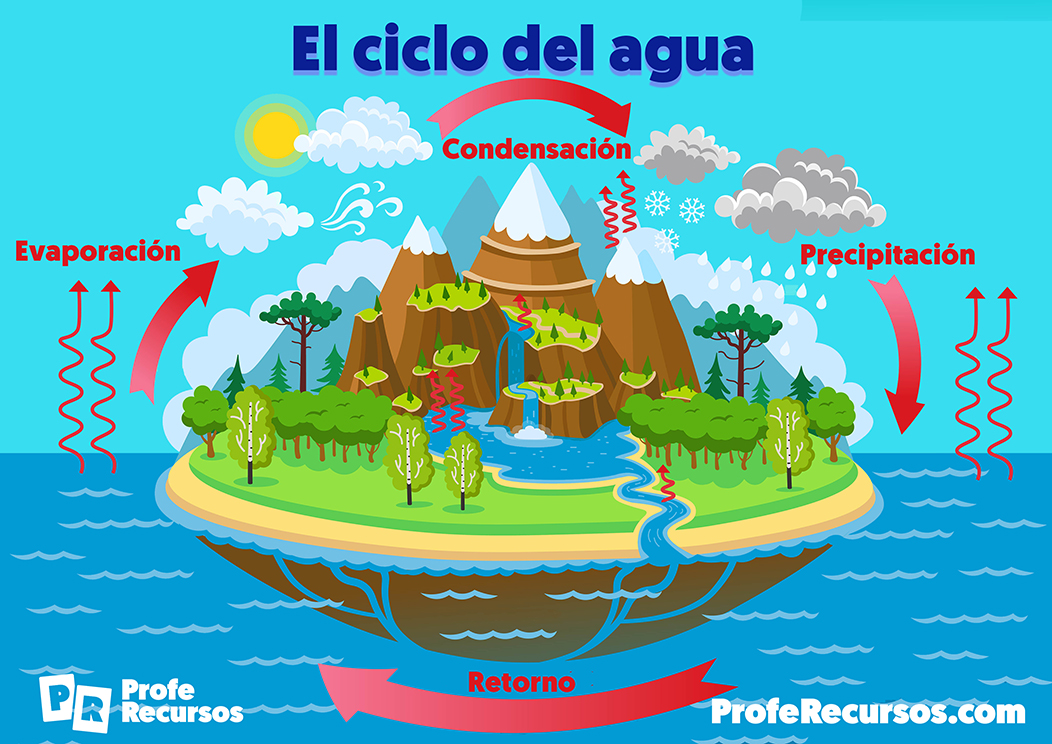 El ciclo del agua para niños