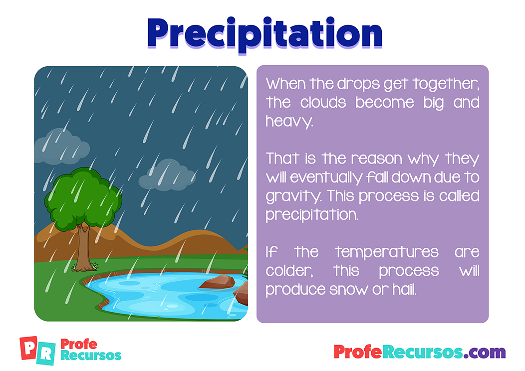 El ciclo del agua water cycle