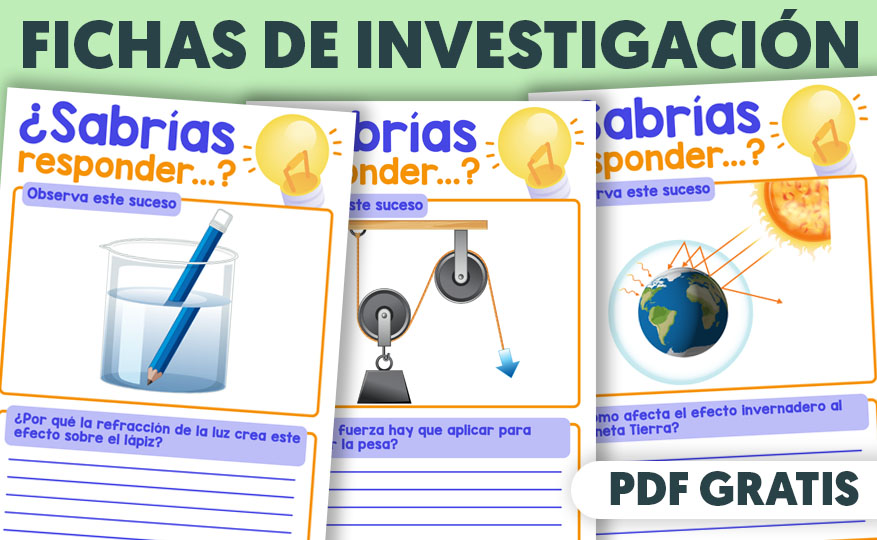 Fichas de investigacion para niños