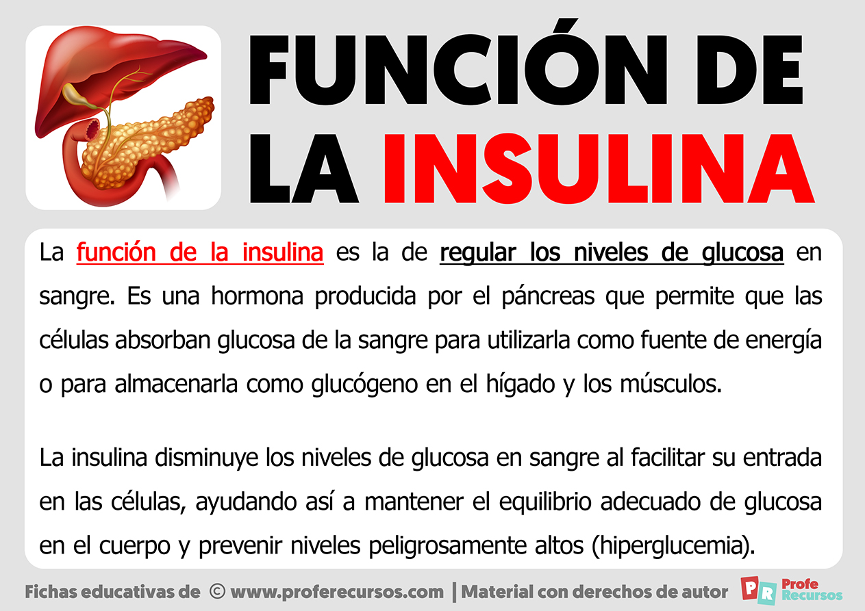 Funcion de la insulina