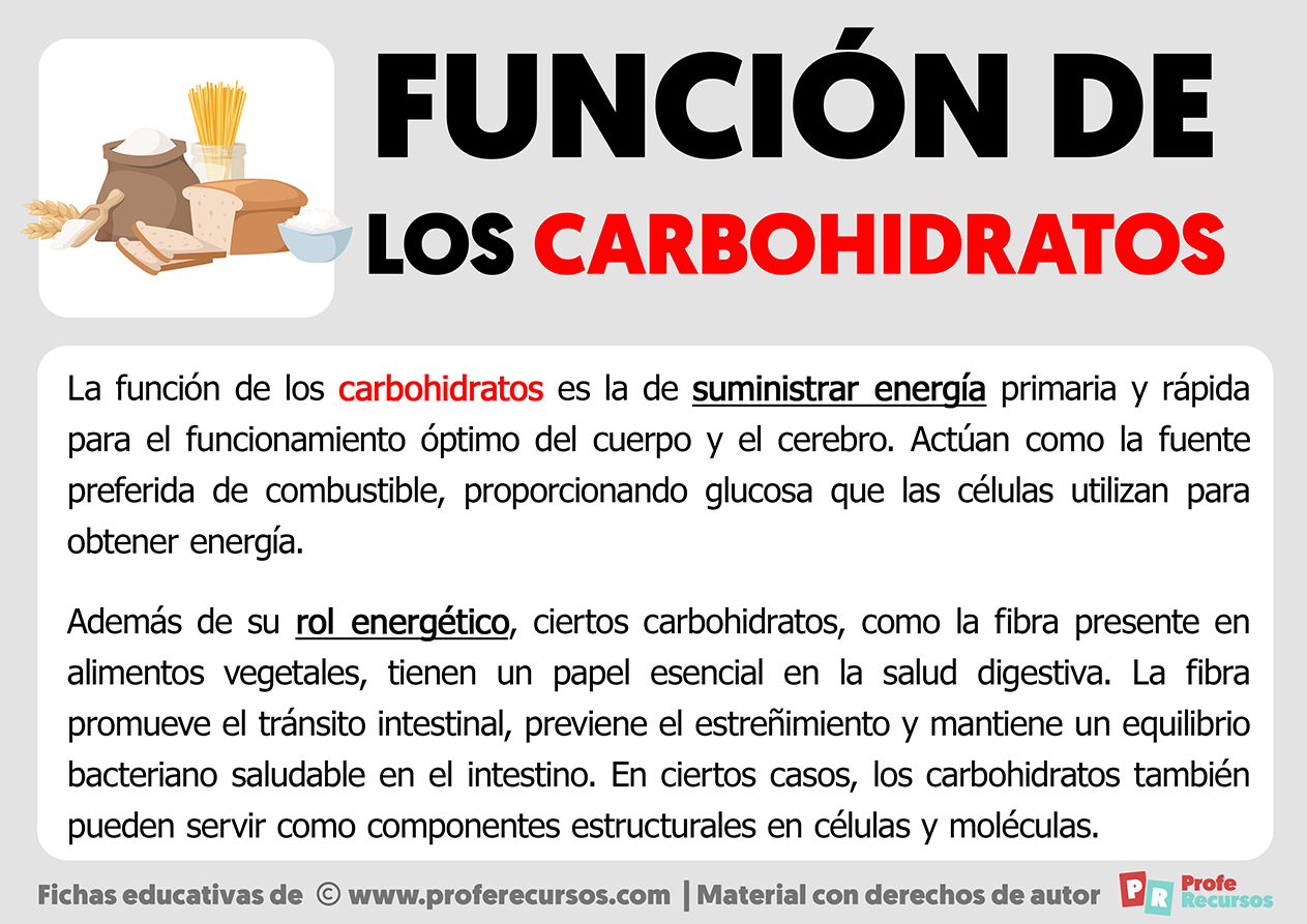 Funcion de los carbohidratos