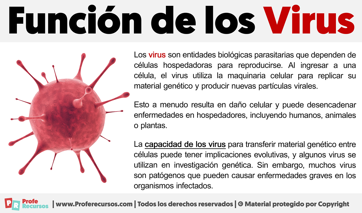 Funcion de los virus