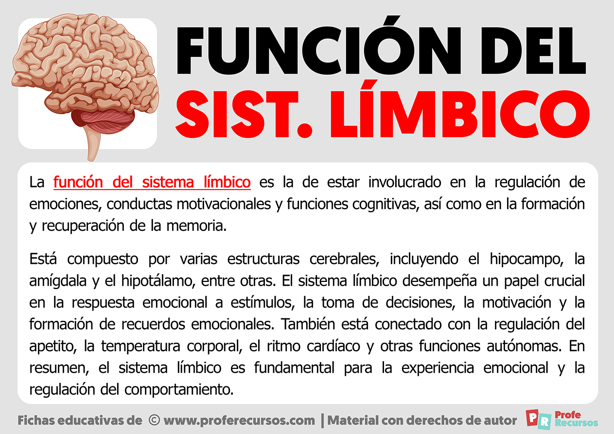 Funcion del sistema limbico