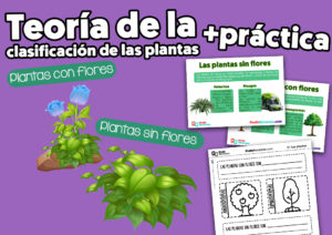 La clasificacion de las plantas para niños