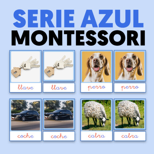 Lenguaje serie azul montessori