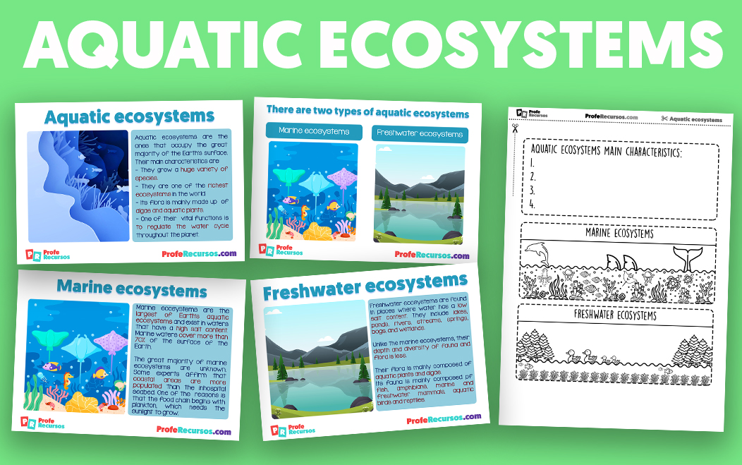 Los ecosistemas acuaticos en ingles