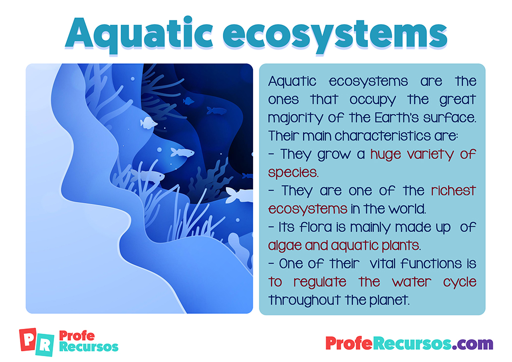 Los ecosistemas acuaticos en ingles