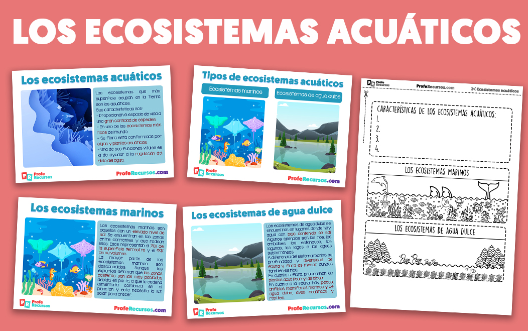 Los ecosistemas acuaticos para niños