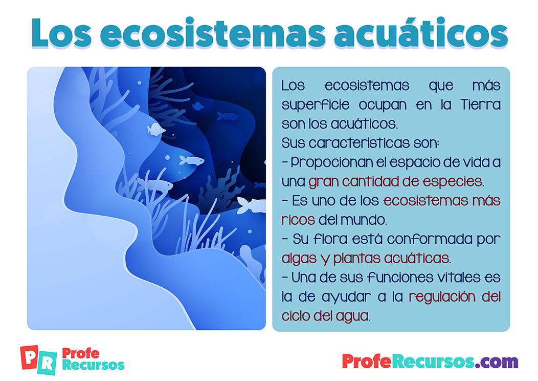 Los ecosistemas acuaticos para niños