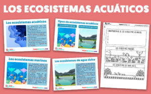 Los ecosistemas acuaticos para niños