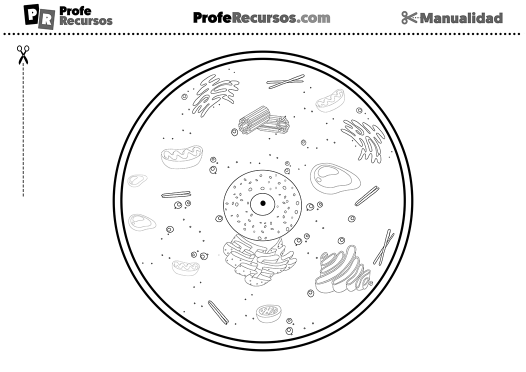 Manualidad celula animal