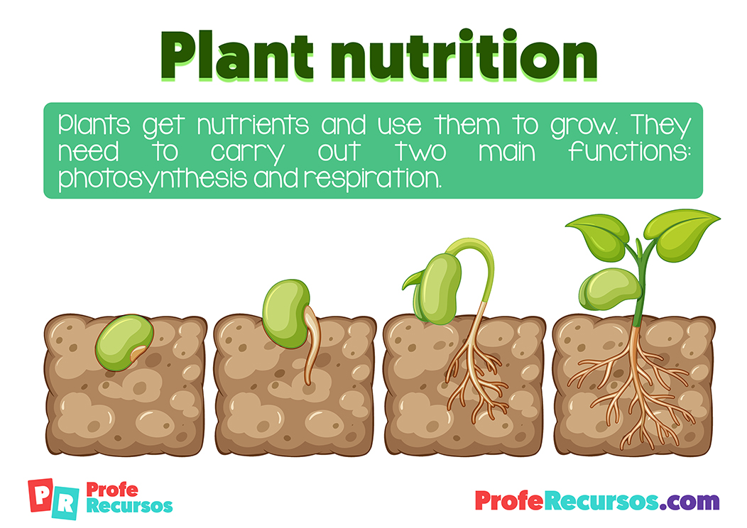 Nutrition of plants