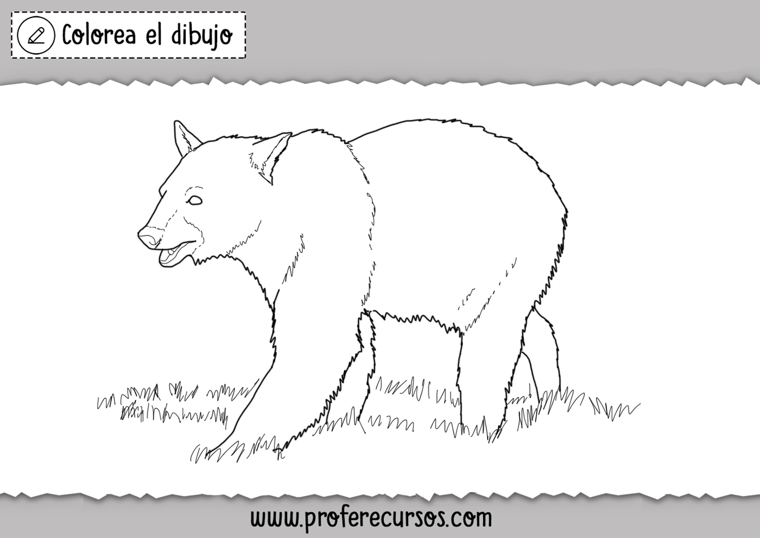 Oso Grizly para Colorear