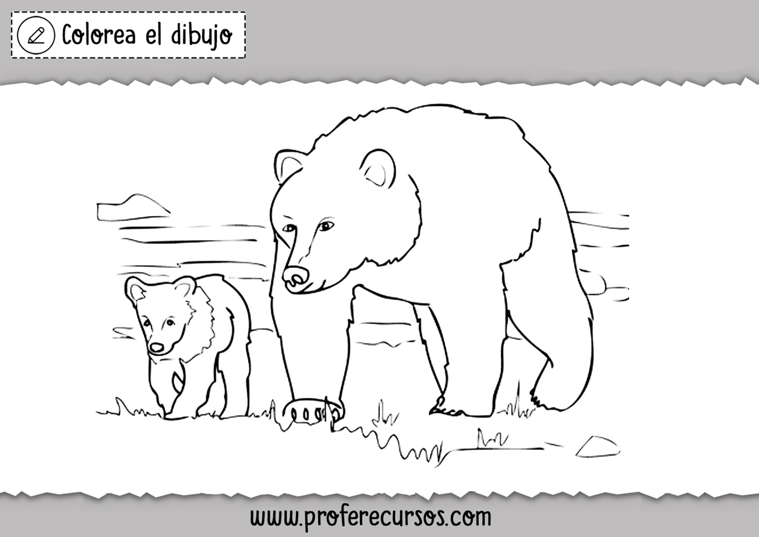 Osos Dibujos