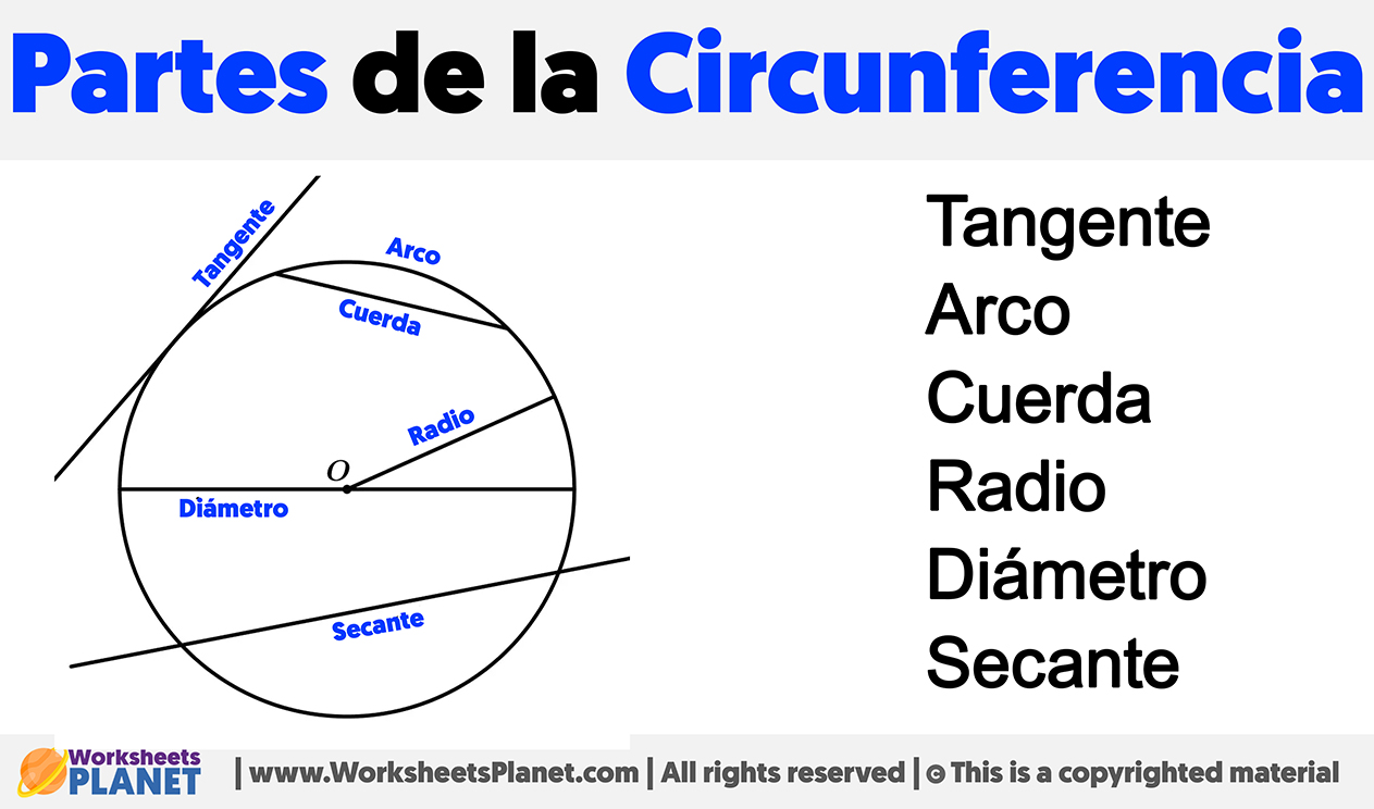 Partes de la circunferencia