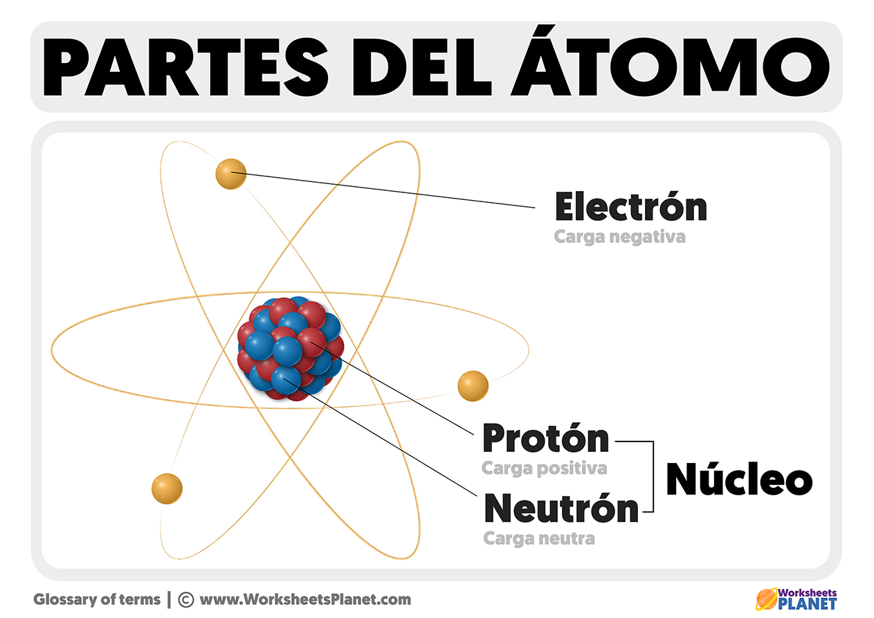 Partes del atomo