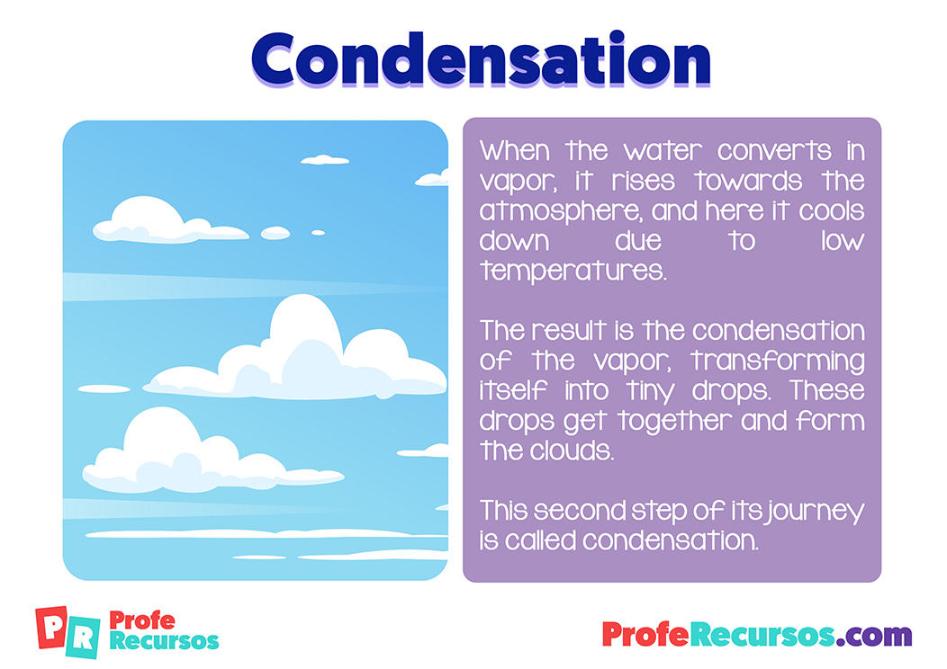 Proceso del ciclo del agua en ingles