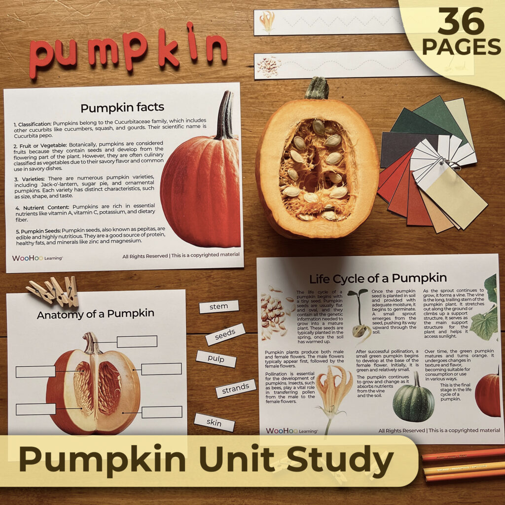 Pumpkin unit study