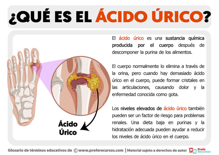 Qué es el Ácido Úrico | Definición de Ácido Úrico