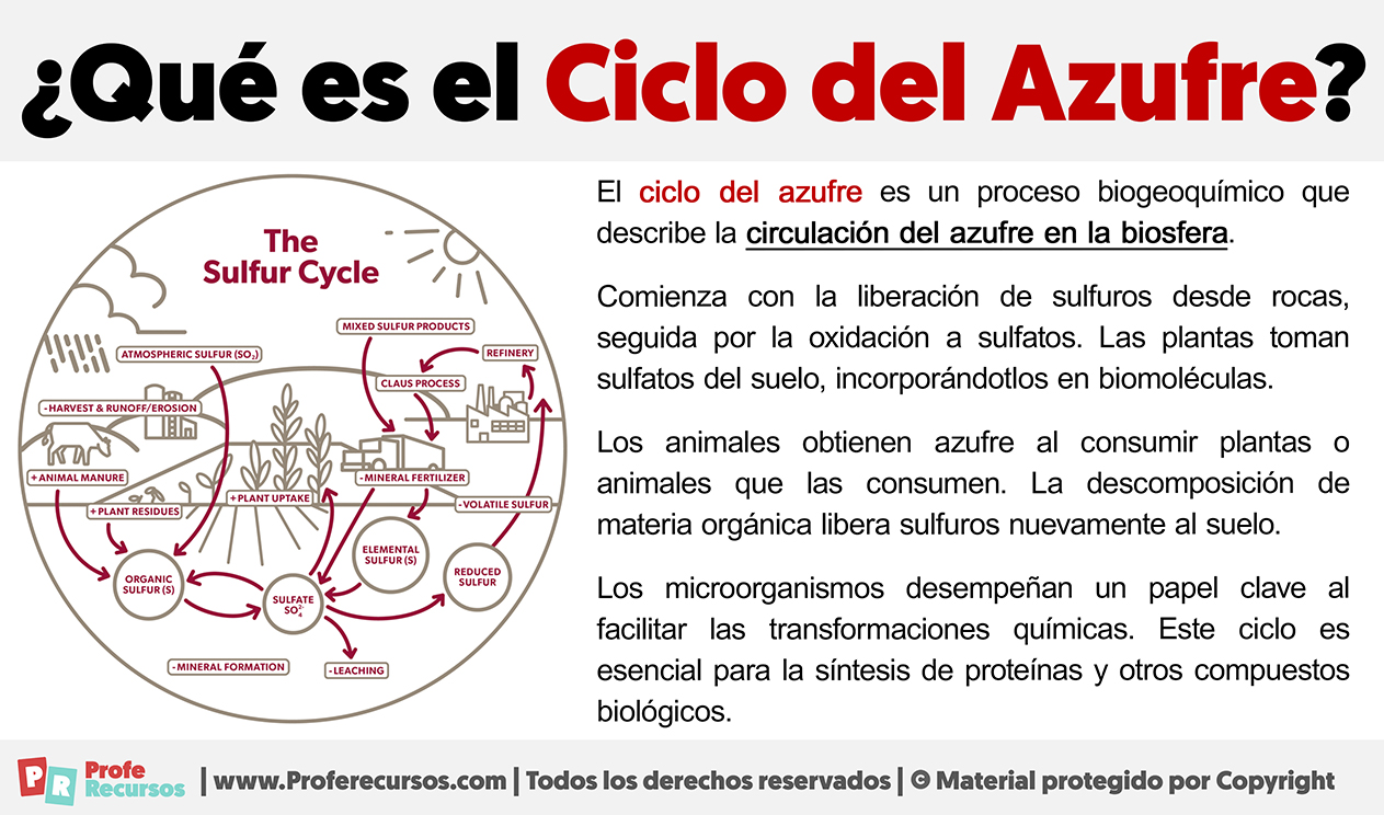 Que es el ciclo del azufre