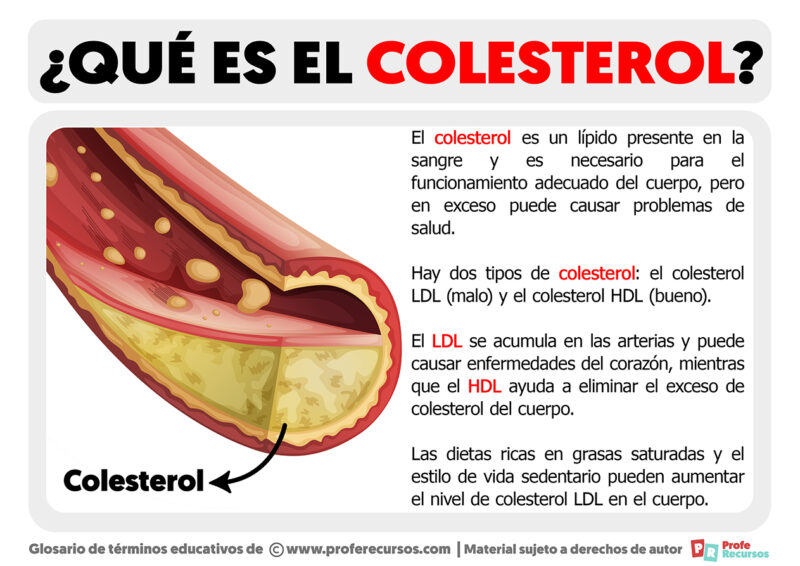 Qué es el Colesterol Definición de Colesterol Qué es el Colesterol Definición de Colesterol