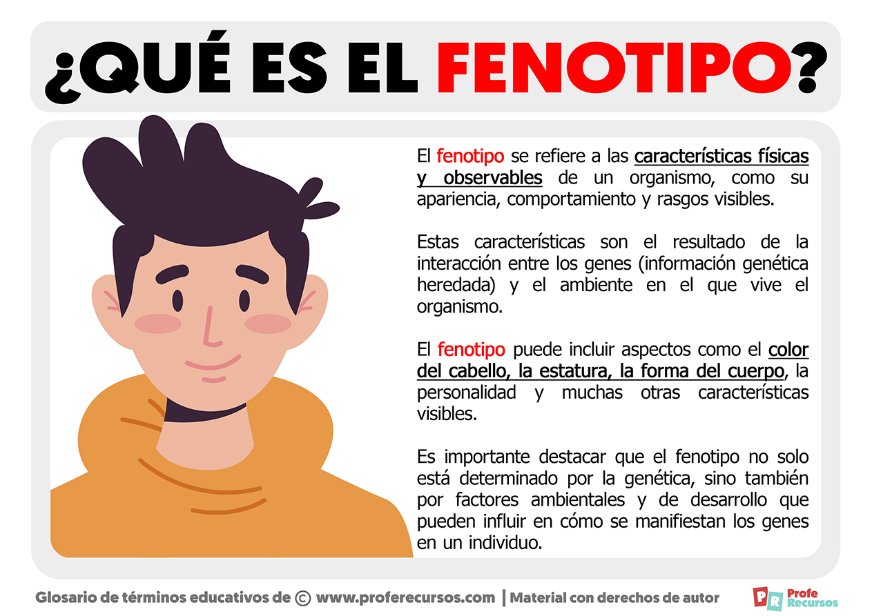 Que es el fenotipo