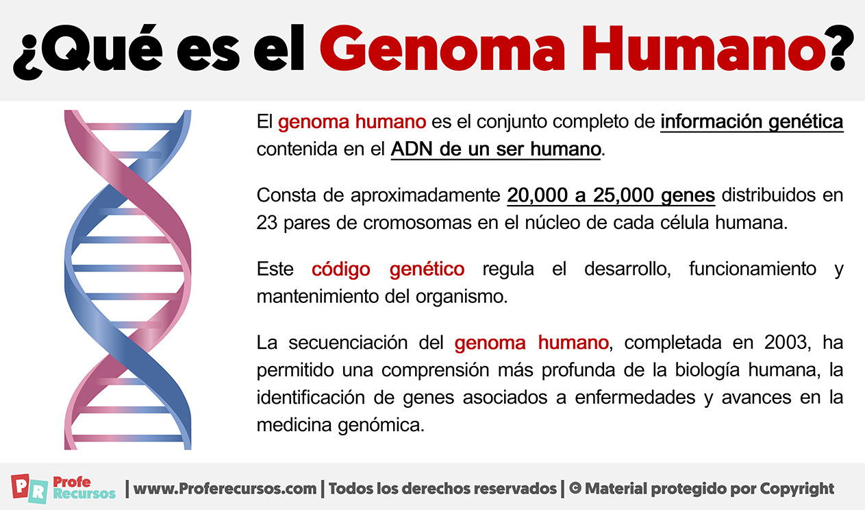 Que es el genoma humano