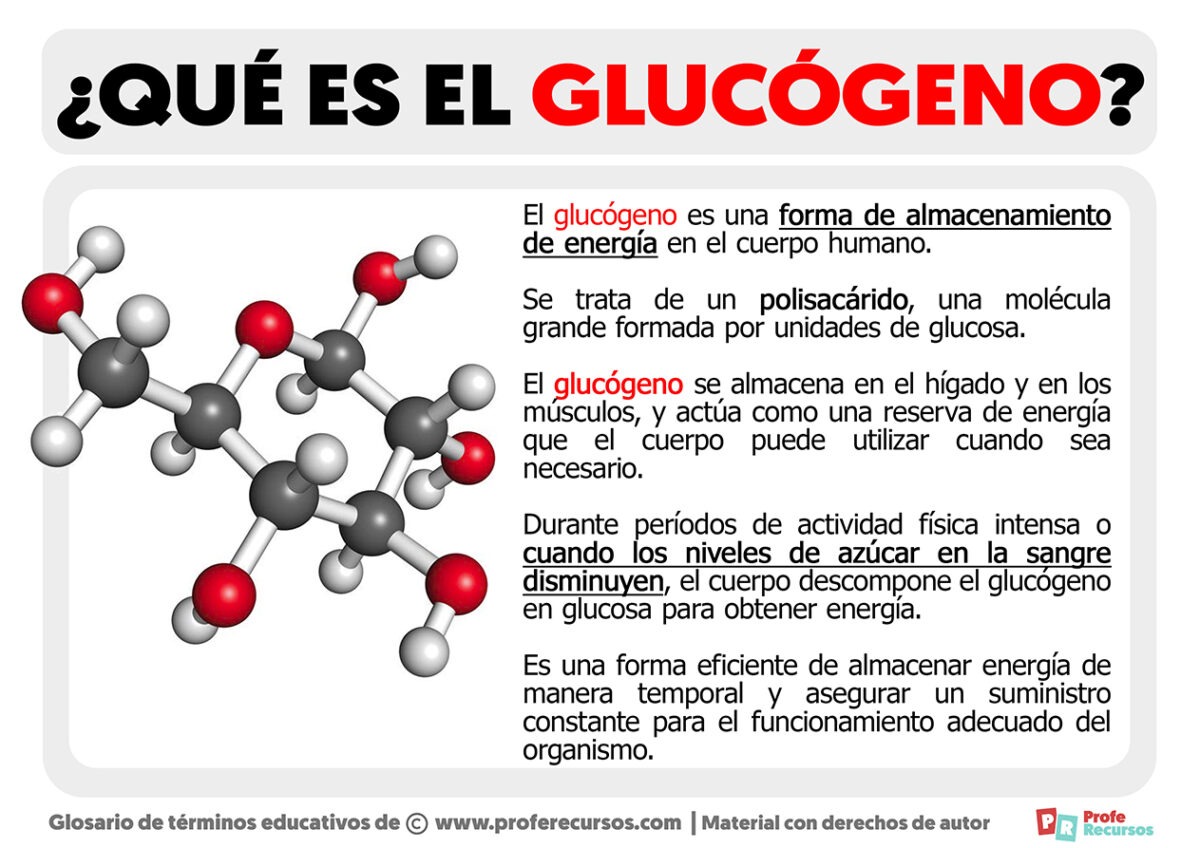 qu-es-el-gluc-geno-definici-n-de-gluc-geno