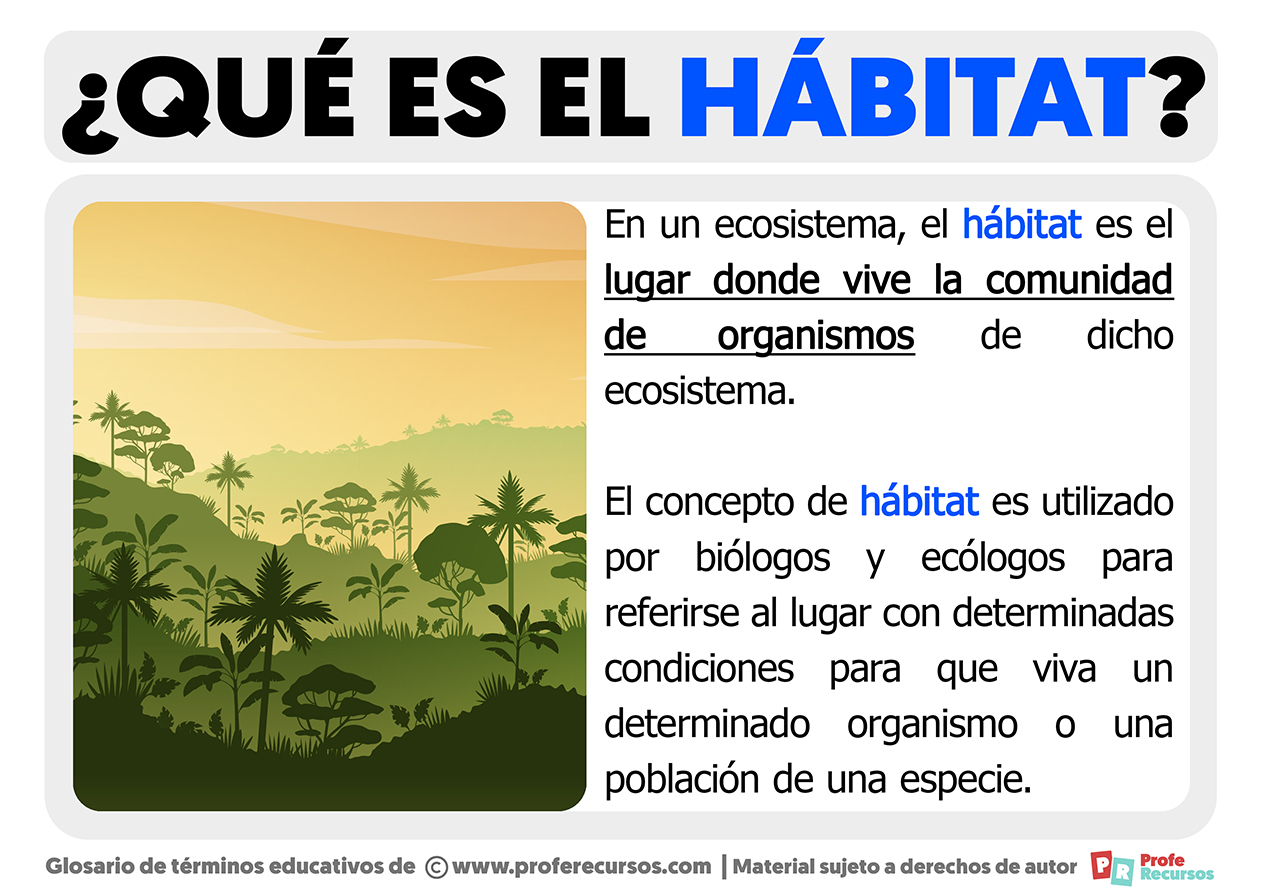 Que es el habitat