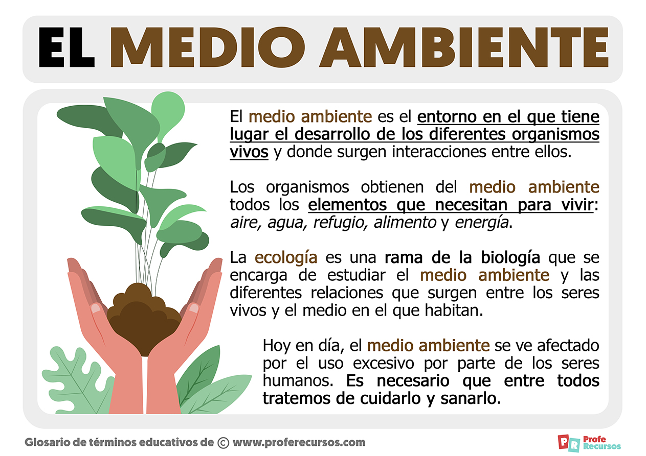 Que es el medio ambiente