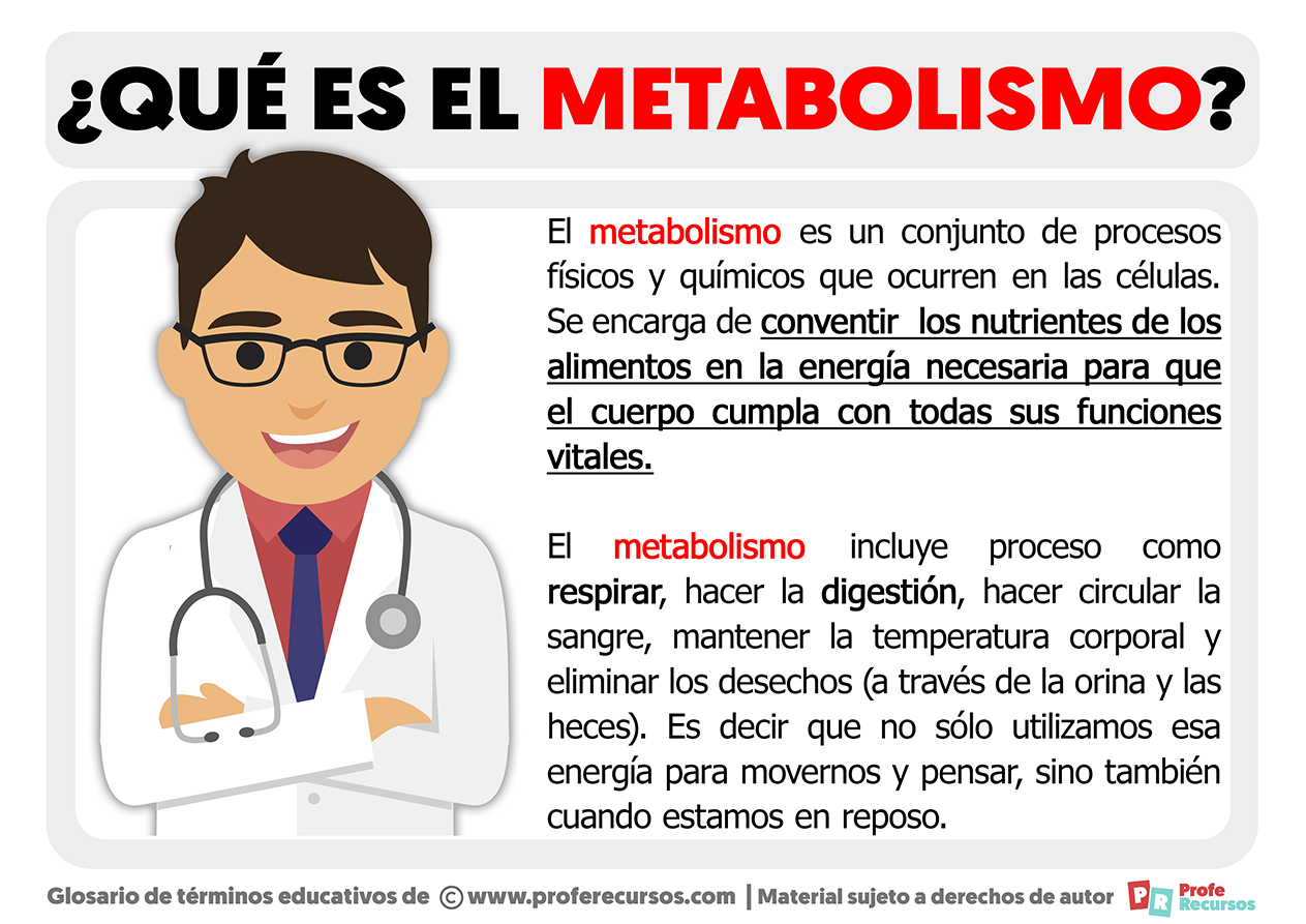 Que es el metabolismo