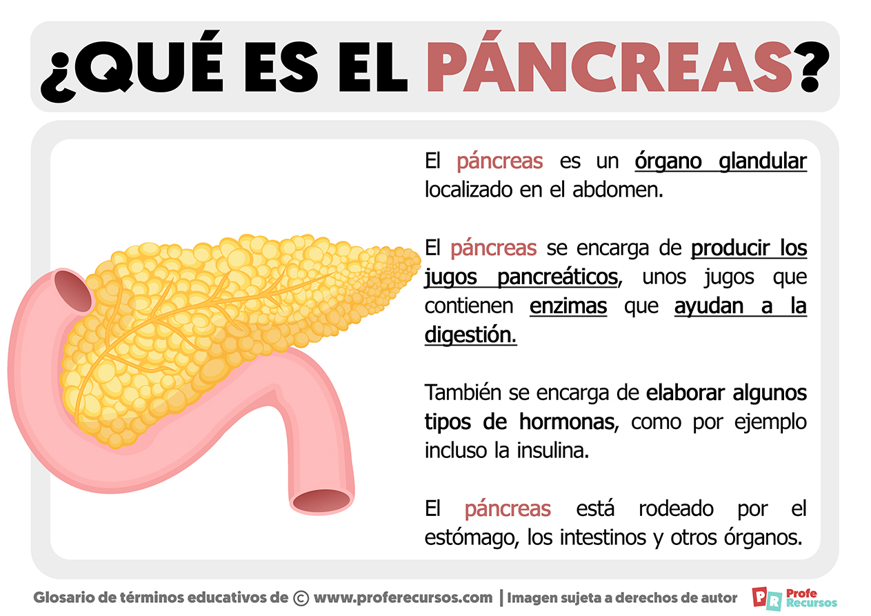 Que es el pancreas