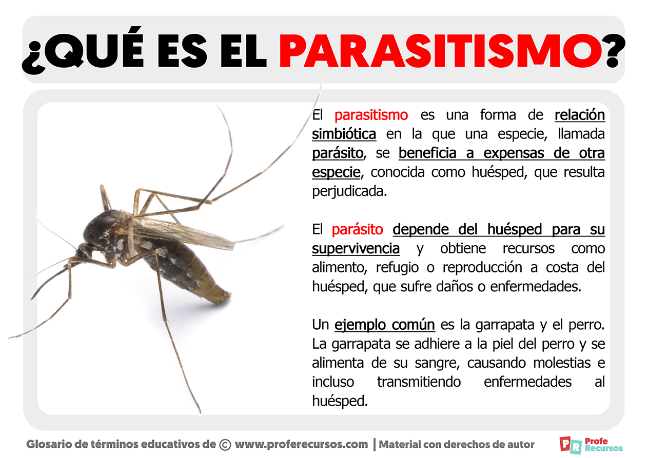 Que es el parasitismo