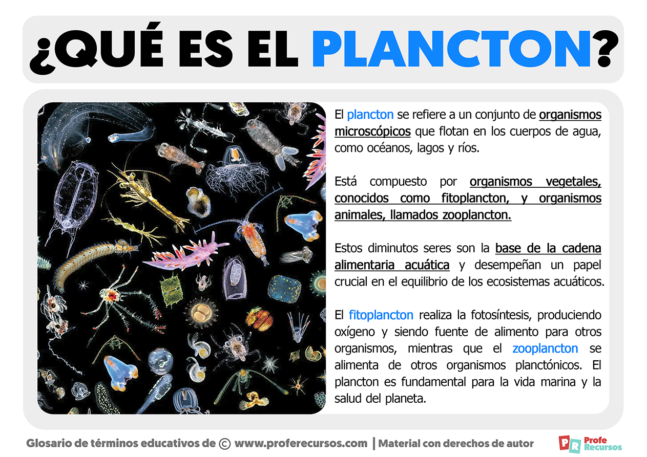 Que es el plancton