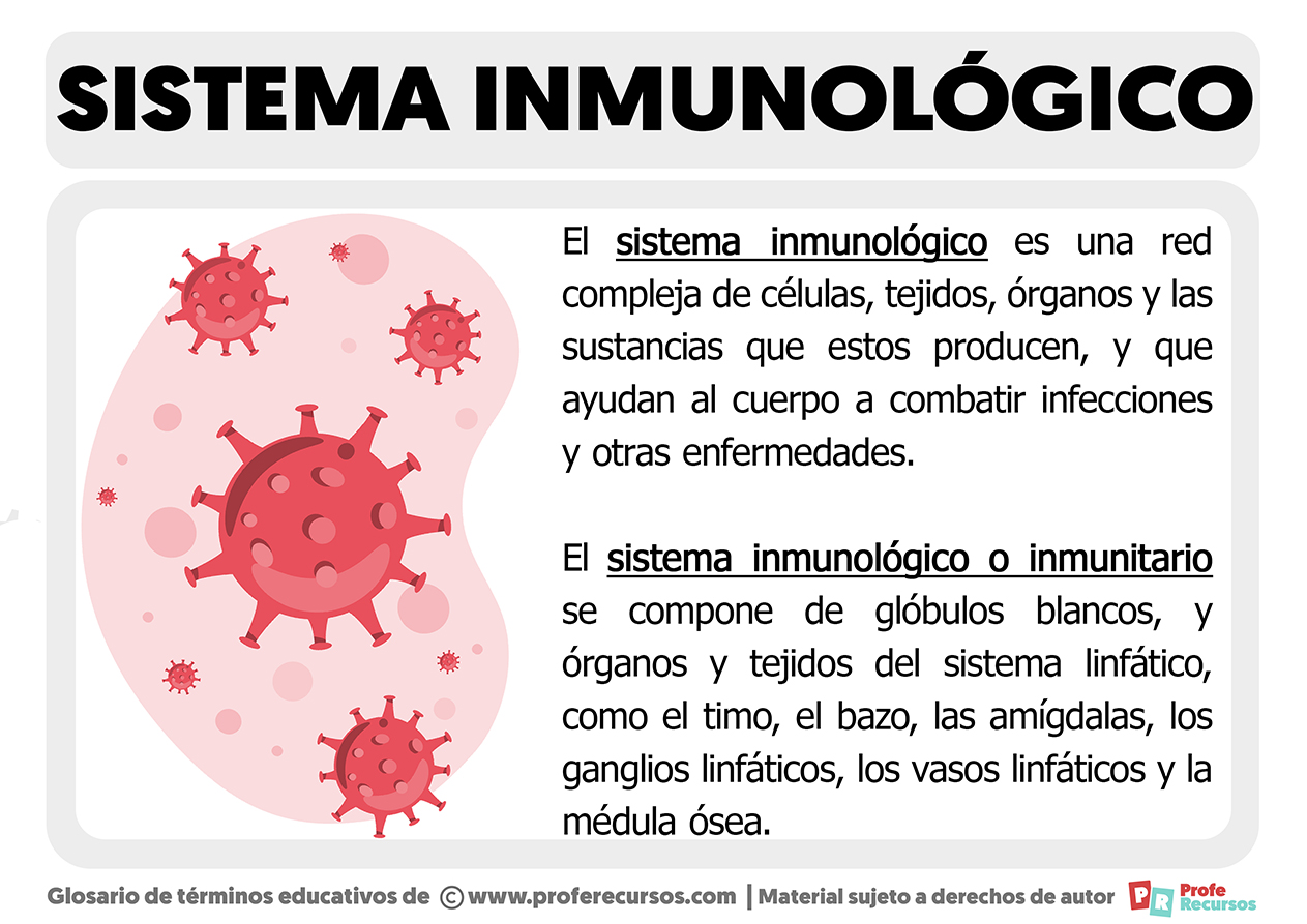 Que es el sistema inmunologico