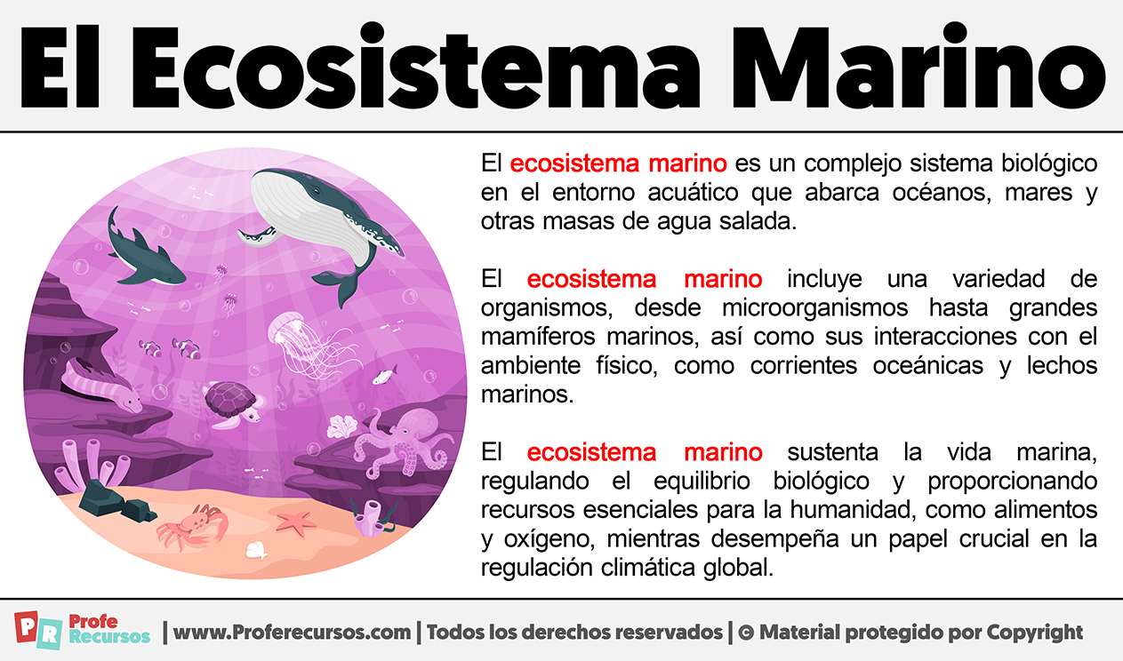 Que es el ecosistema marino
