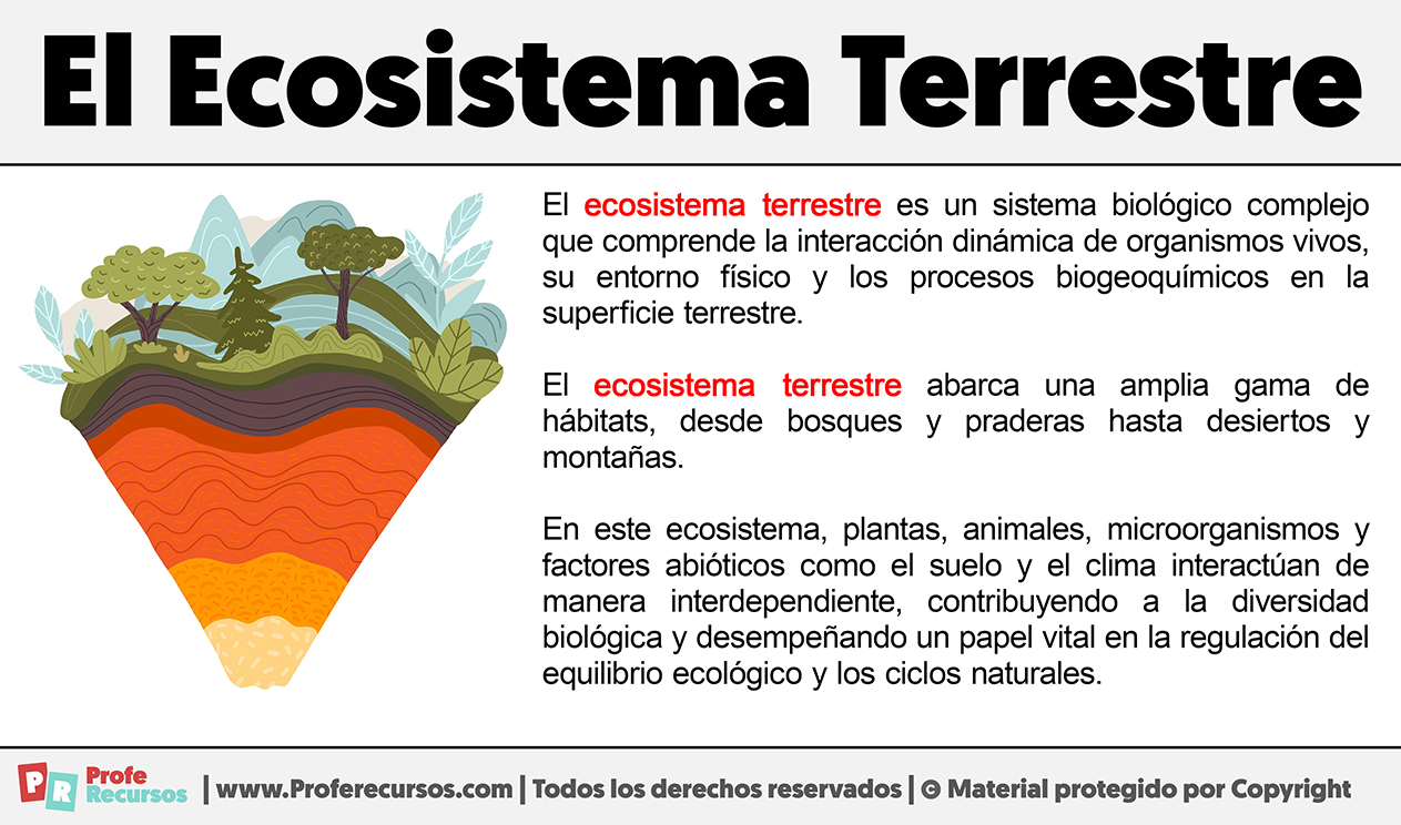 Que es el ecosistema terrestre