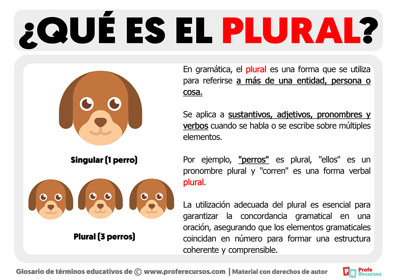 Qu Es El Plural Definici n De Plural