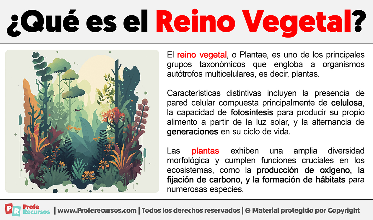 Que es el reino vegetal