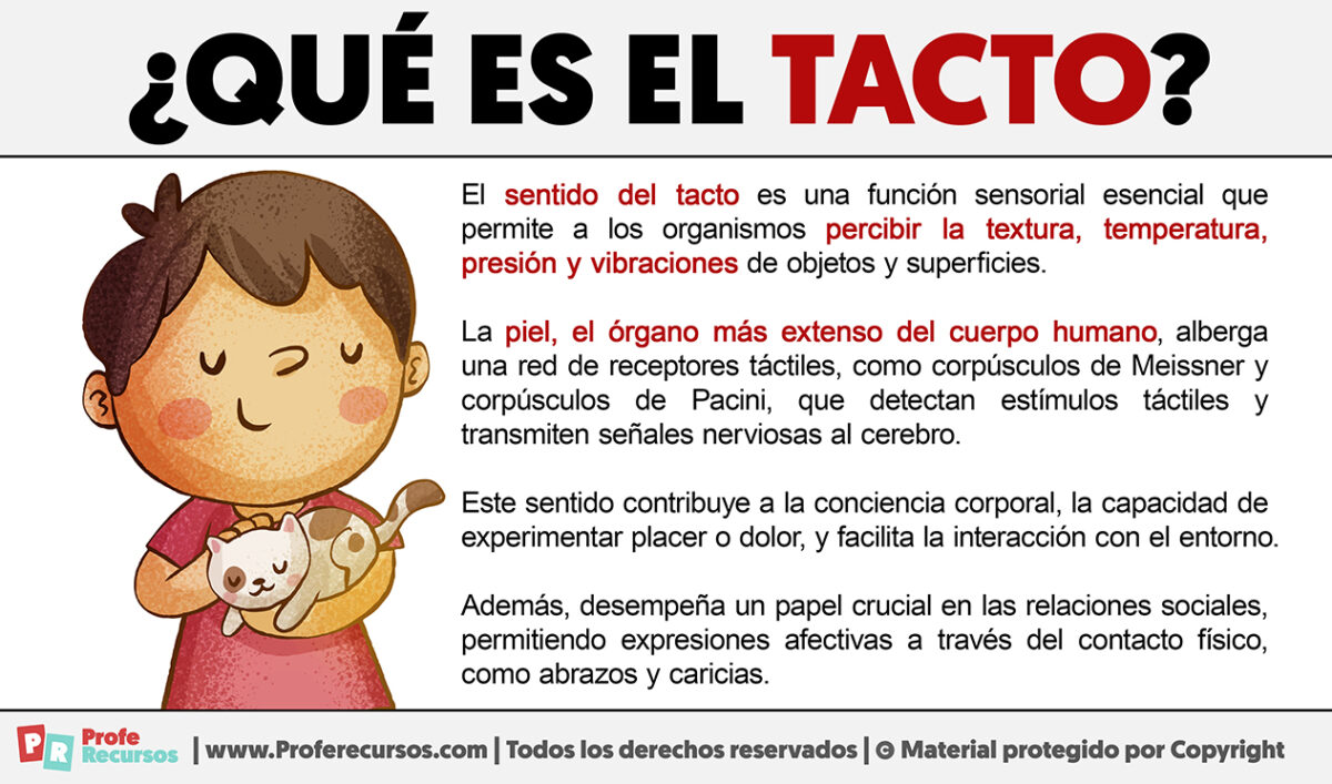 Qué es el Tacto | Sentido del Tacto