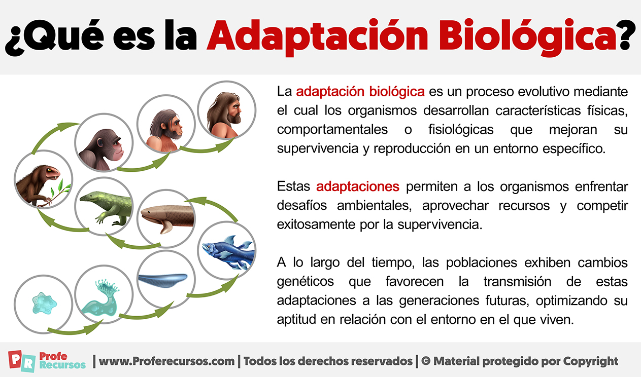 Que es la adaptacion biologica