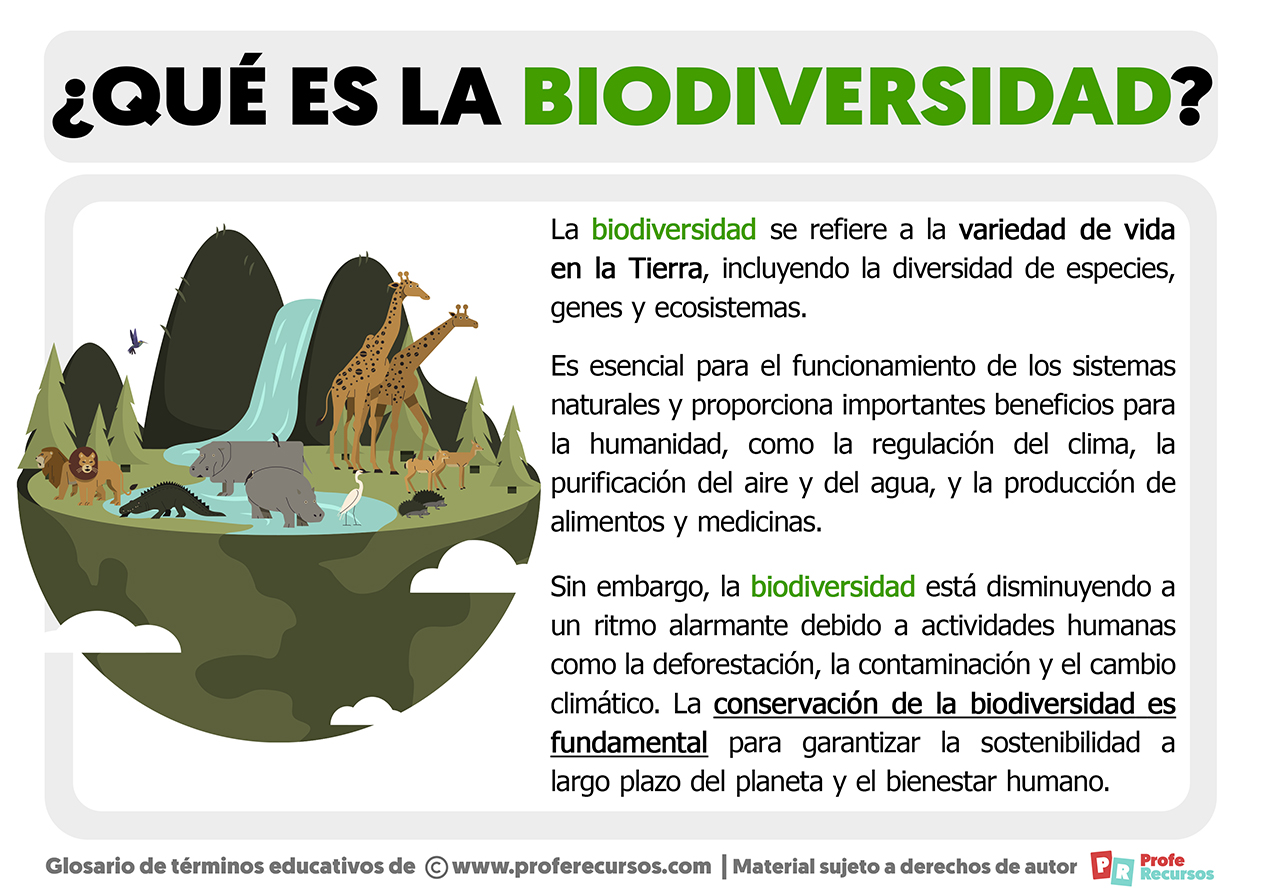 Que es la biodiversidad
